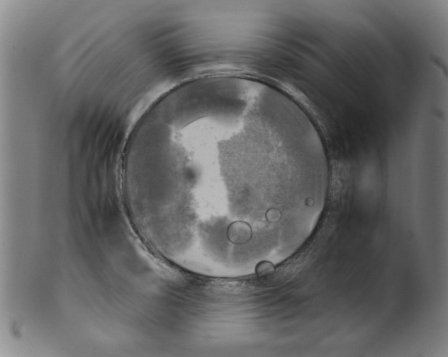 X0000099411474200806060920