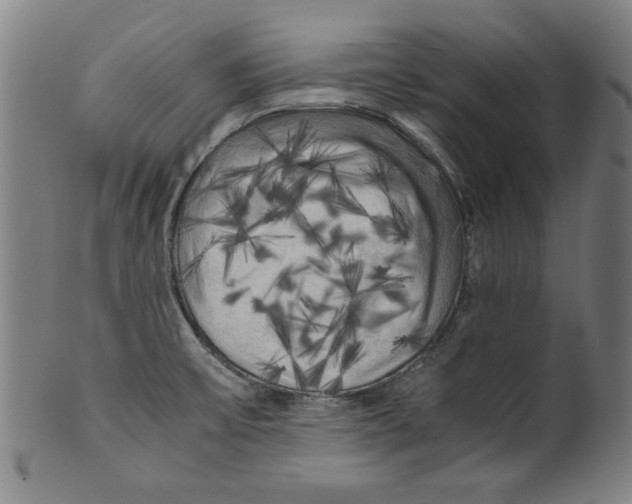 X0000099411475200806060920