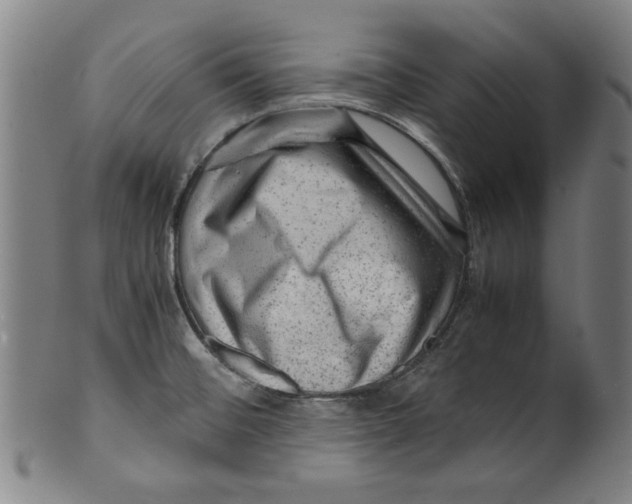 X0000099411476200806060920