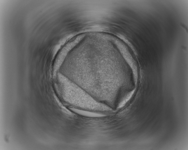 X0000099411477200806060919