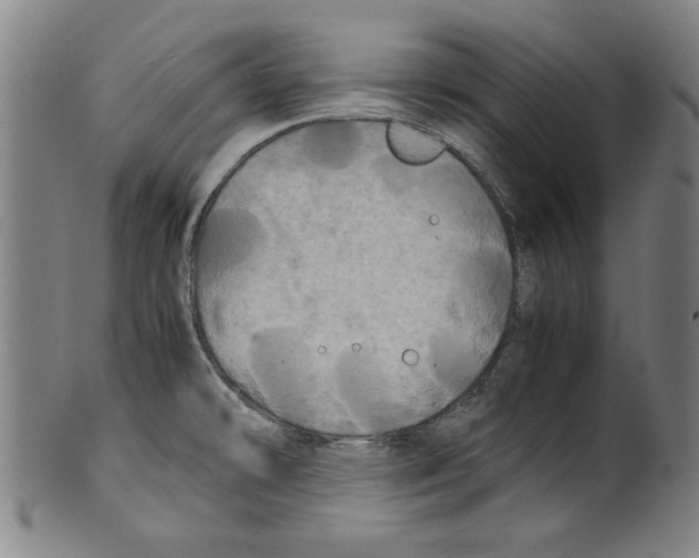 X0000099411478200806060919