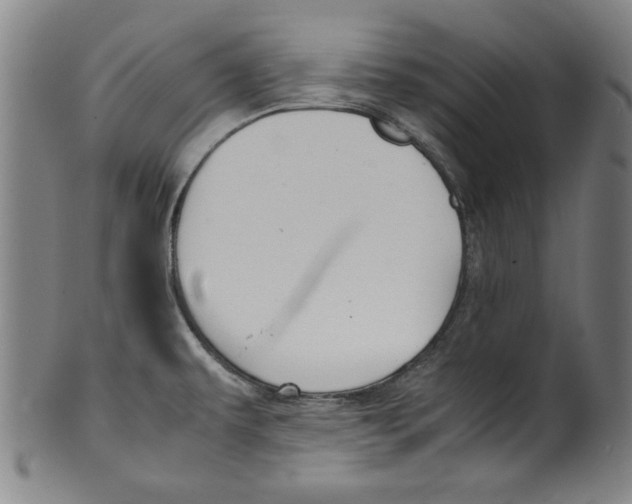 X0000099411479200806060919