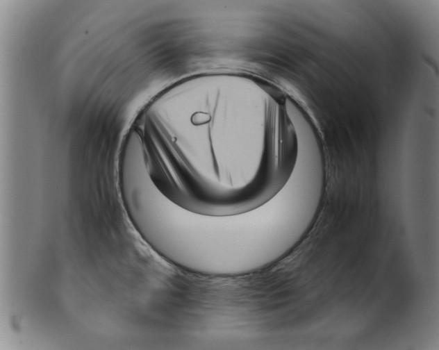 X0000099411480200806060919