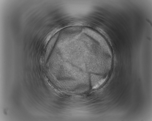 X0000099411481200806060919