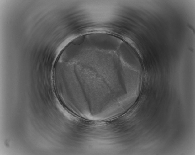 X0000099411482200806060919