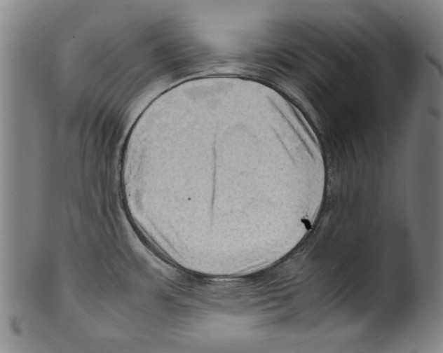 X0000099411483200806060919