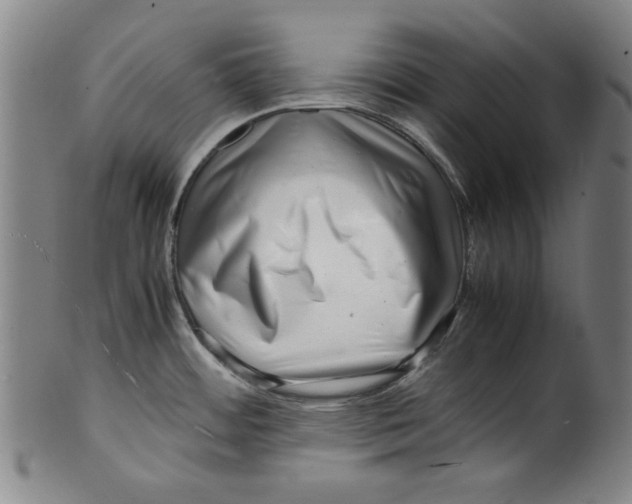 X0000099411484200806060919