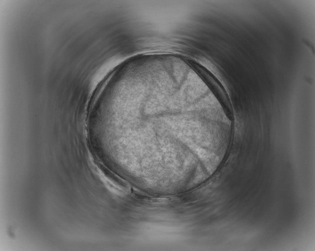 X0000099411485200806060919