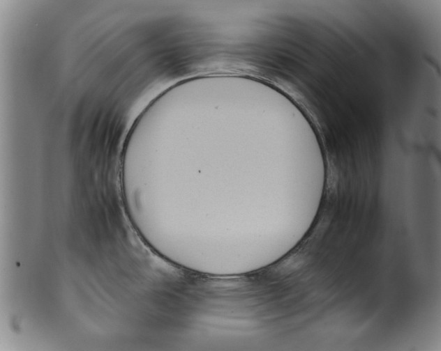 X0000099411486200806060919