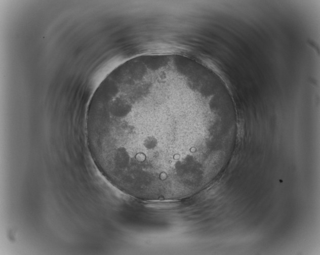 X0000099411487200806060919