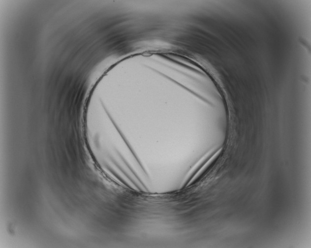 X0000099411488200806060919