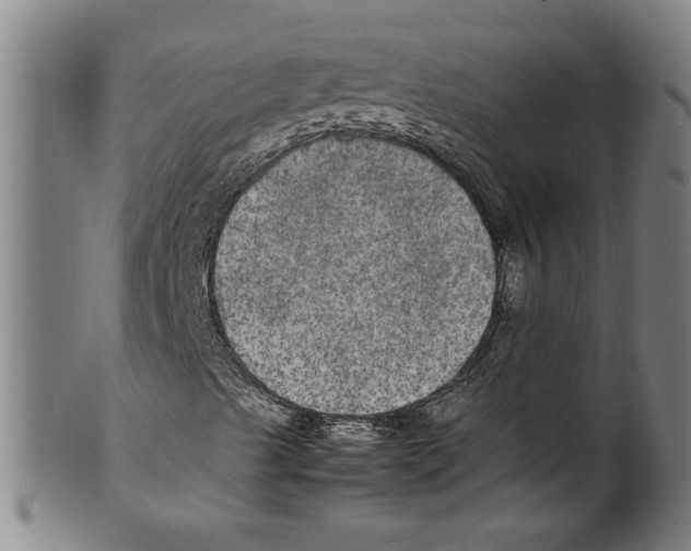 X0000099411489200806060919