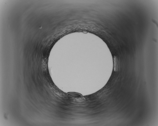 X0000099411491200806060919