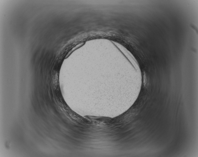 X0000099411492200806060919