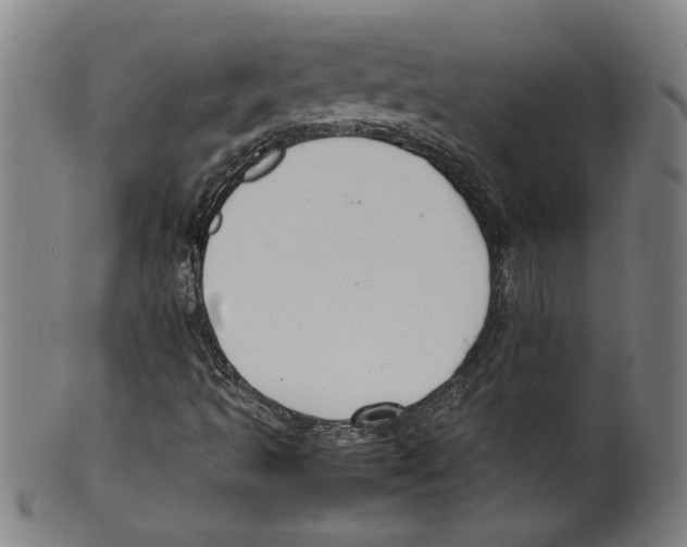 X0000099411493200806060919