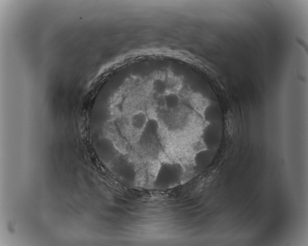 X0000099411494200806060919