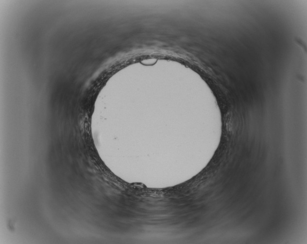 X0000099411495200806060919