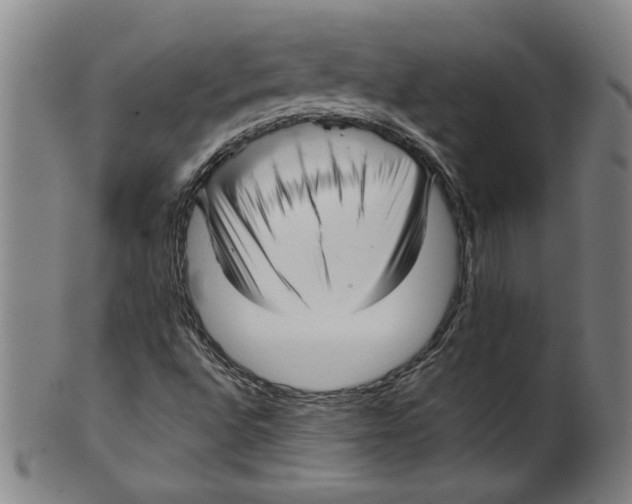 X0000099411496200806060919