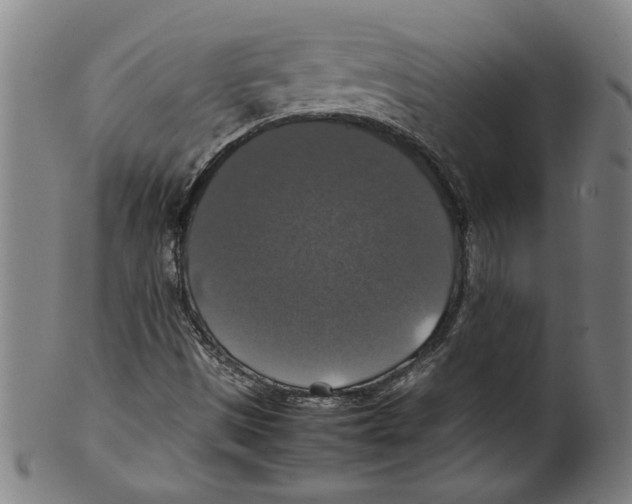 X0000099411497200806060919