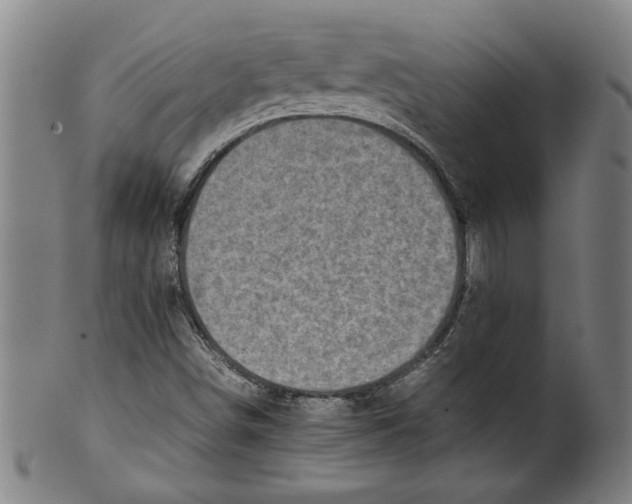 X0000099411498200806060919