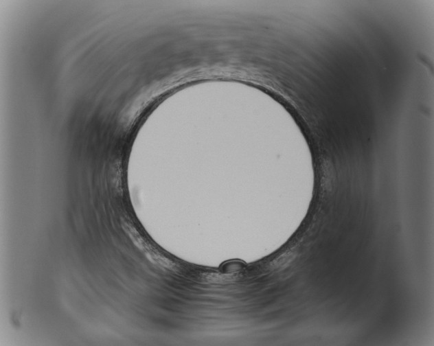 X0000099411499200806060919