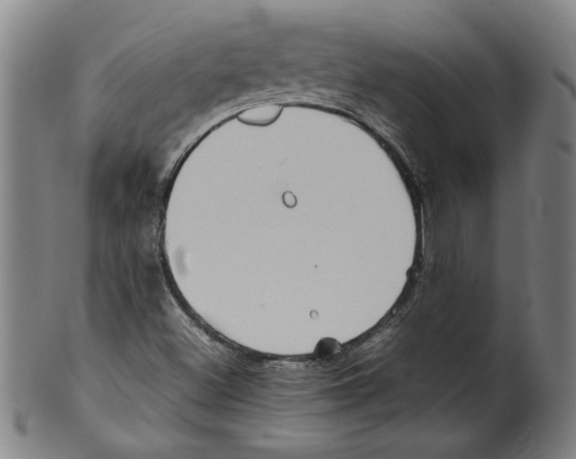 X0000099411500200806060919