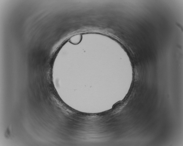 X0000099411502200806060919