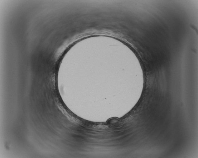 X0000099411503200806060919