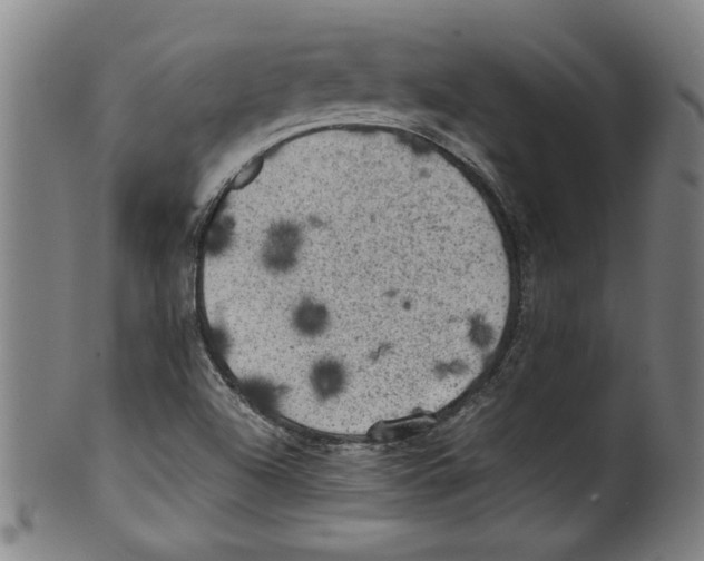 X0000099411504200806060919