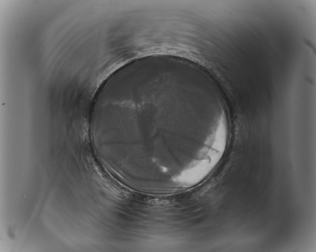 X0000099411505200806060919