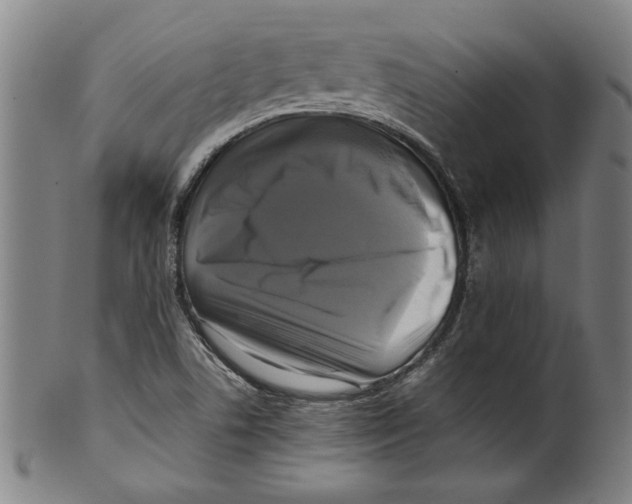 X0000099411506200806060919