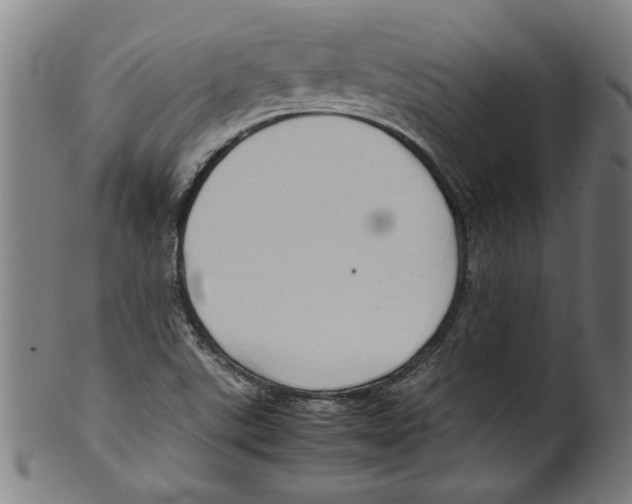 X0000099411507200806060919