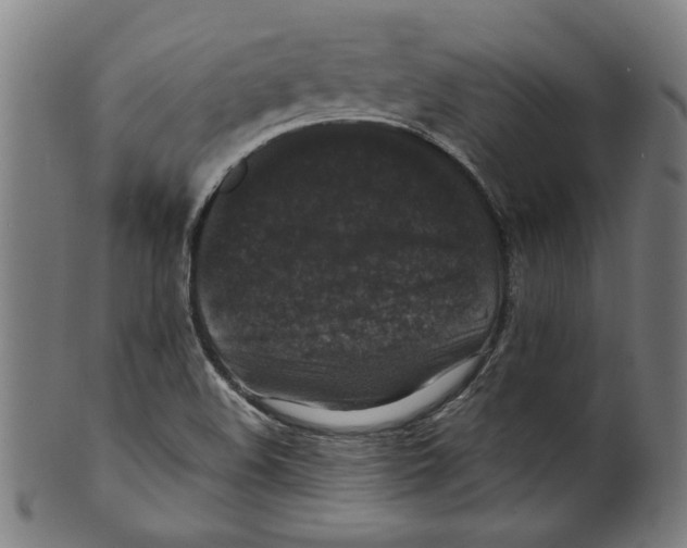 X0000099411508200806060919