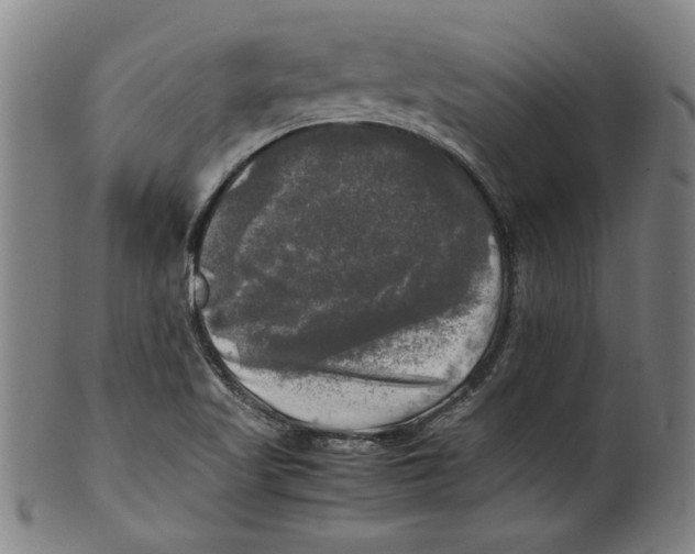 X0000099411509200806060919