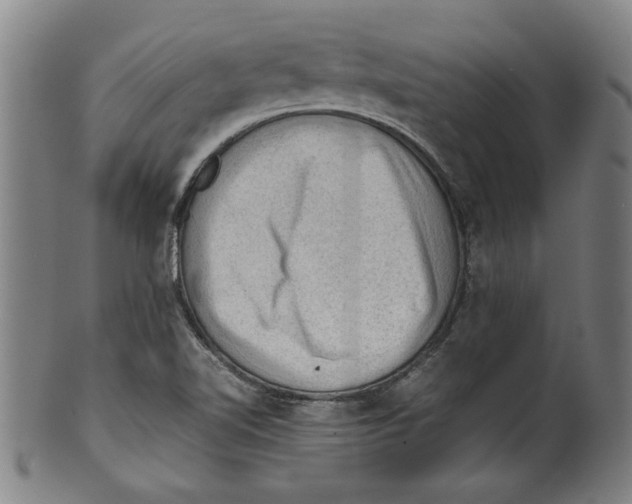 X0000099411510200806060919