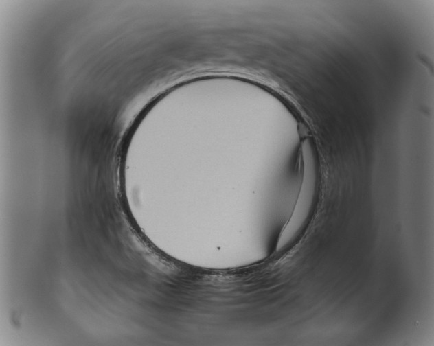 X0000099411511200806060919