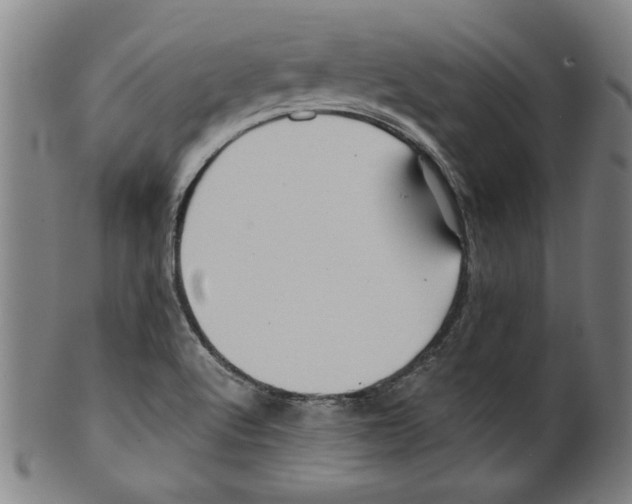 X0000099411512200806060919