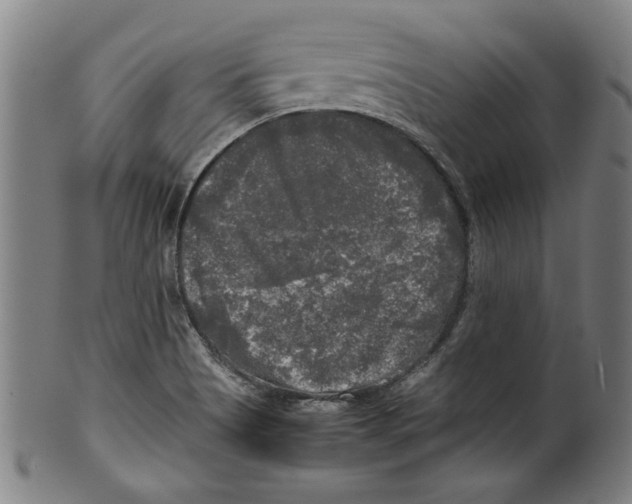 X0000099411513200806060919