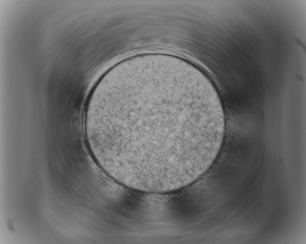 X0000099411514200806060919