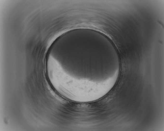 X0000099411515200806060919