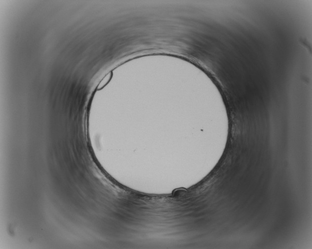 X0000099411516200806060919