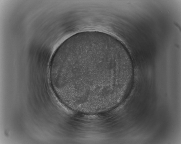 X0000099411517200806060919