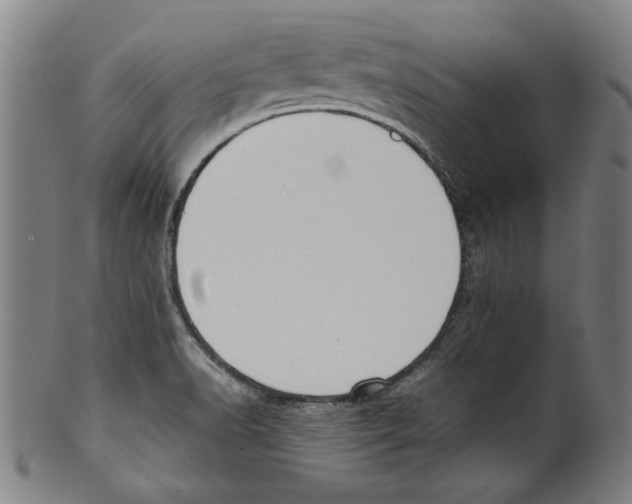 X0000099411518200806060919