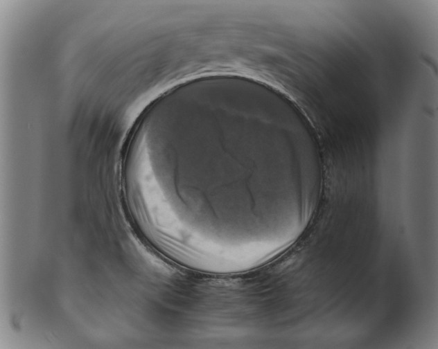 X0000099411519200806060919