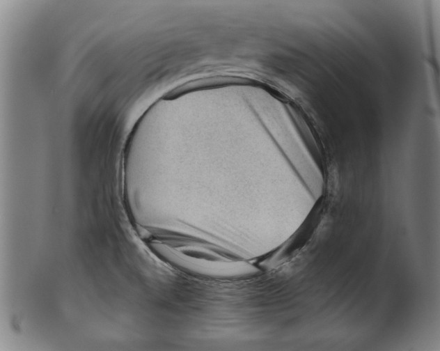 X0000099411520200806060919