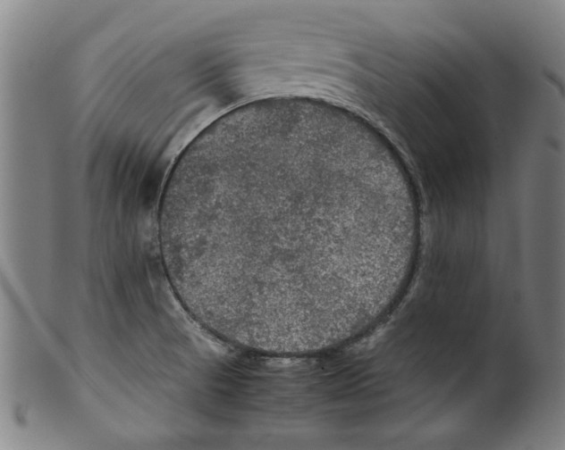 X0000099411521200806060919