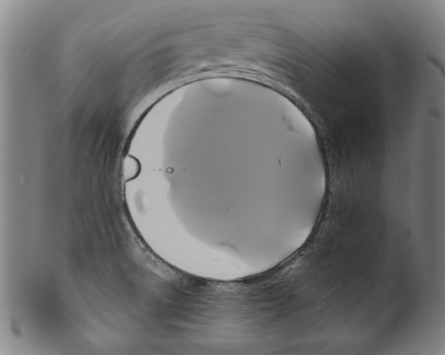 X0000099411522200806060919