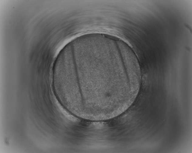 X0000099411523200806060919