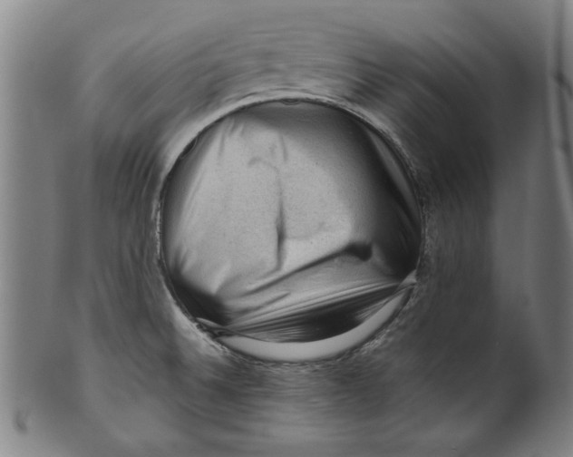 X0000099411524200806060919