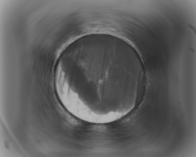 X0000099411525200806060919